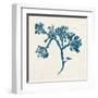 Indigo Algae IV-Jennifer Goldberger-Framed Art Print