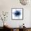 Indigo Amaryllis 1-Albert Koetsier-Framed Stretched Canvas displayed on a wall