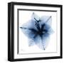 Indigo Amaryllis 1-Albert Koetsier-Framed Art Print