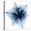 Indigo Amaryllis 1-Albert Koetsier-Stretched Canvas