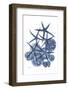 Indigo Aquatic Universe 3-Albert Koetsier-Framed Photographic Print