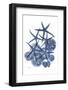 Indigo Aquatic Universe 3-Albert Koetsier-Framed Photographic Print