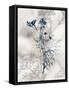 Indigo Bloom I-John Butler-Framed Stretched Canvas