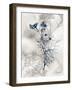 Indigo Bloom I-John Butler-Framed Art Print