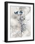 Indigo Bloom I-John Butler-Framed Art Print