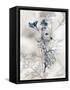 Indigo Bloom I-John Butler-Framed Stretched Canvas