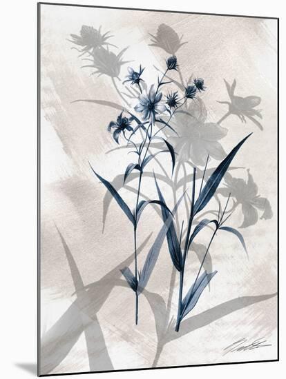 Indigo Bloom IV-John Butler-Mounted Art Print