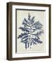 Indigo Blue Seaweed 2 b-Fab Funky-Framed Art Print