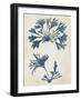 Indigo Blue Seaweed 2 d-Fab Funky-Framed Art Print