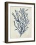 Indigo Blue Seaweed 3 b-Fab Funky-Framed Art Print