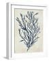 Indigo Blue Seaweed 3 b-Fab Funky-Framed Art Print