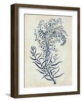 Indigo Blue Seaweed 3 c-Fab Funky-Framed Art Print