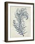 Indigo Blue Seaweed 3 c-Fab Funky-Framed Art Print