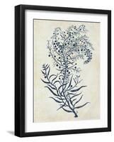 Indigo Blue Seaweed 3 c-Fab Funky-Framed Art Print