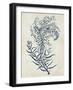 Indigo Blue Seaweed 3 c-Fab Funky-Framed Art Print