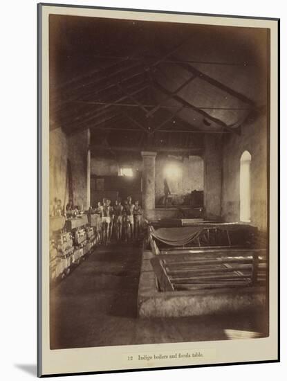 Indigo boilers and fecula table, 1877-Oscar Jean Baptiste Mallitte-Mounted Giclee Print