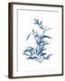 Indigo Botanica II-Naomi McCavitt-Framed Art Print