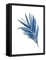 Indigo Botanica III-Naomi McCavitt-Framed Stretched Canvas