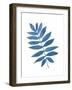 Indigo Botanica V-Naomi McCavitt-Framed Art Print