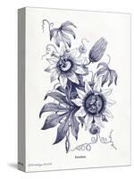 Indigo Botanical I-Gwendolyn Babbitt-Stretched Canvas