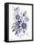 Indigo Botanical I-Gwendolyn Babbitt-Framed Stretched Canvas