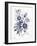 Indigo Botanical I-Gwendolyn Babbitt-Framed Art Print