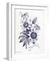 Indigo Botanical I-Gwendolyn Babbitt-Framed Art Print