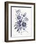 Indigo Botanical I-Gwendolyn Babbitt-Framed Art Print