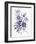 Indigo Botanical I-Gwendolyn Babbitt-Framed Art Print