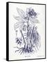 Indigo Botanical II-Gwendolyn Babbitt-Framed Stretched Canvas