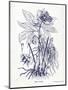 Indigo Botanical II-Gwendolyn Babbitt-Mounted Art Print