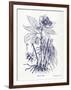 Indigo Botanical II-Gwendolyn Babbitt-Framed Art Print