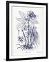 Indigo Botanical II-Gwendolyn Babbitt-Framed Art Print