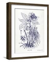 Indigo Botanical II-Gwendolyn Babbitt-Framed Art Print