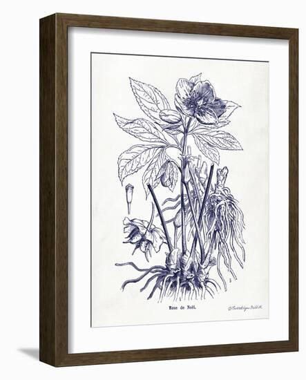 Indigo Botanical II-Gwendolyn Babbitt-Framed Art Print