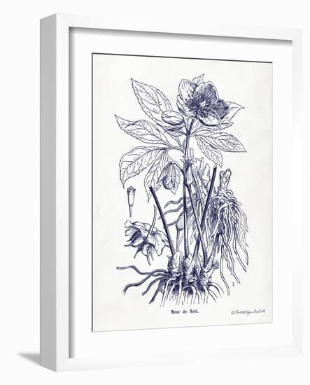 Indigo Botanical II-Gwendolyn Babbitt-Framed Art Print