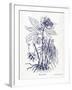 Indigo Botanical II-Gwendolyn Babbitt-Framed Art Print