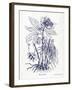 Indigo Botanical II-Gwendolyn Babbitt-Framed Art Print