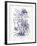 Indigo Botanical II-Gwendolyn Babbitt-Framed Art Print