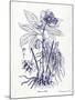 Indigo Botanical II-Gwendolyn Babbitt-Mounted Art Print