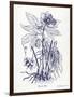 Indigo Botanical II-Gwendolyn Babbitt-Framed Art Print