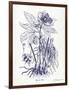 Indigo Botanical II-Gwendolyn Babbitt-Framed Art Print