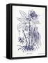 Indigo Botanical II-Gwendolyn Babbitt-Framed Stretched Canvas