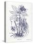 Indigo Botanical II-Gwendolyn Babbitt-Stretched Canvas