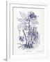 Indigo Botanical II-Gwendolyn Babbitt-Framed Art Print