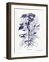 Indigo Botanical III-Gwendolyn Babbitt-Framed Art Print