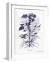 Indigo Botanical III-Gwendolyn Babbitt-Framed Art Print