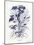 Indigo Botanical III-Gwendolyn Babbitt-Mounted Art Print