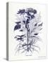 Indigo Botanical III-Gwendolyn Babbitt-Stretched Canvas