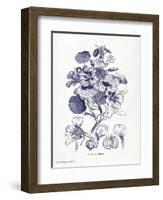 Indigo Botanical IV-Gwendolyn Babbitt-Framed Art Print